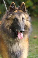 ZETTI Deabei