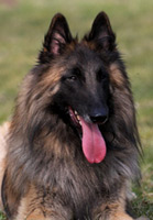HOOPER Deabei